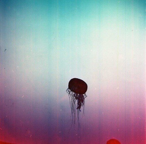 Лиза Амс | Turku