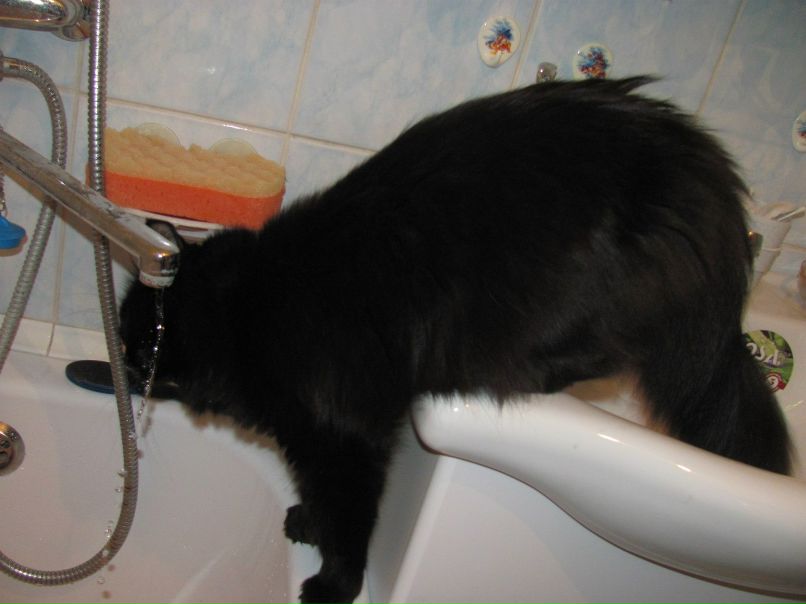 Марина Щербатова | Томск