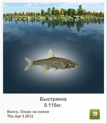 Миша Онацкий | Донецк