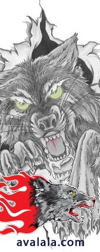 №12, Евгений Михнюк, 35 лет, Киев №12, Евгений Михнюк, 35 лет, Киев