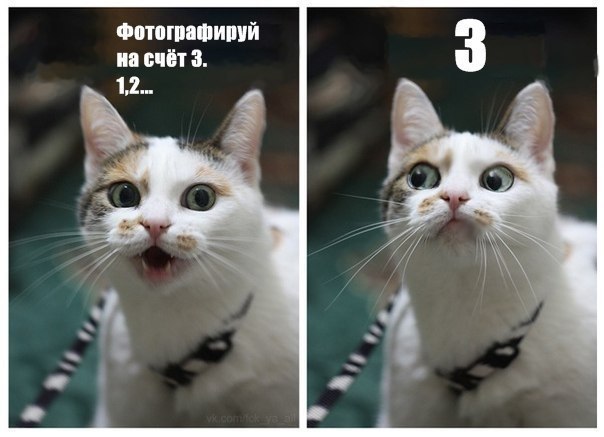 Алексей Дробот | Москва