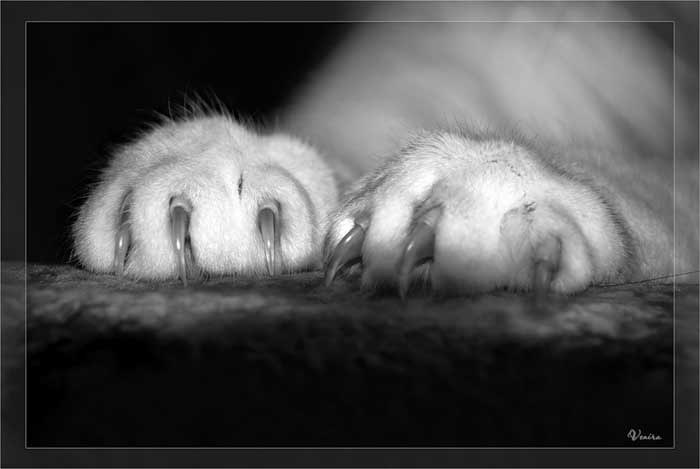 Таня Михалевич Ƹ̴Ӂ̴Ʒ | Луцк