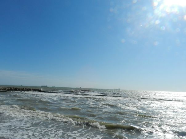 №6, Николай Миков №6, Николай Миков