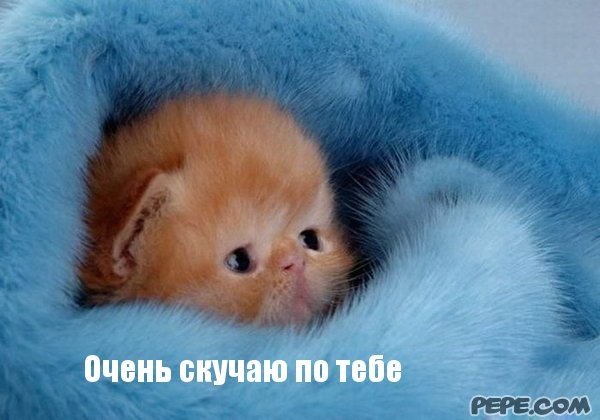 №37, Андрей Ляпчев, 37 лет №37, Андрей Ляпчев, 37 лет