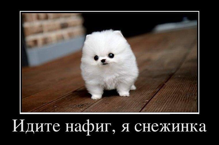 Валентин Олексеенко | Черкассы