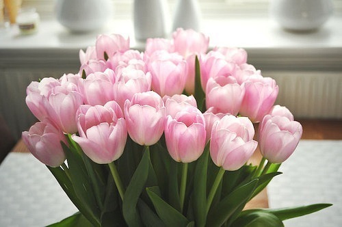 №93, Юлия Герих, Киев №93, Юлия Герих, Киев