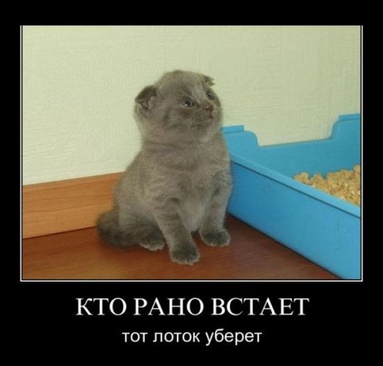 Яна Солнцева | Харьков