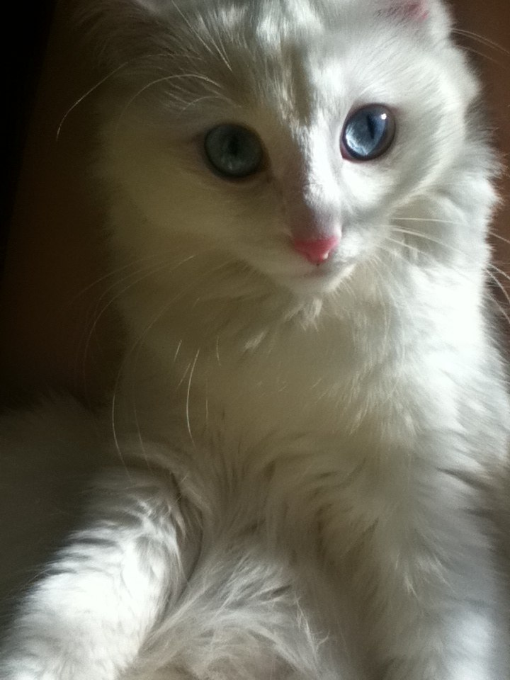 Альбина Миргаляутдинова | Уфа