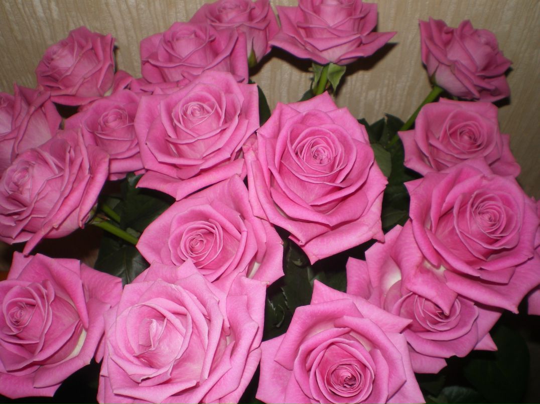 Сания Хафизова | Набережные Челны