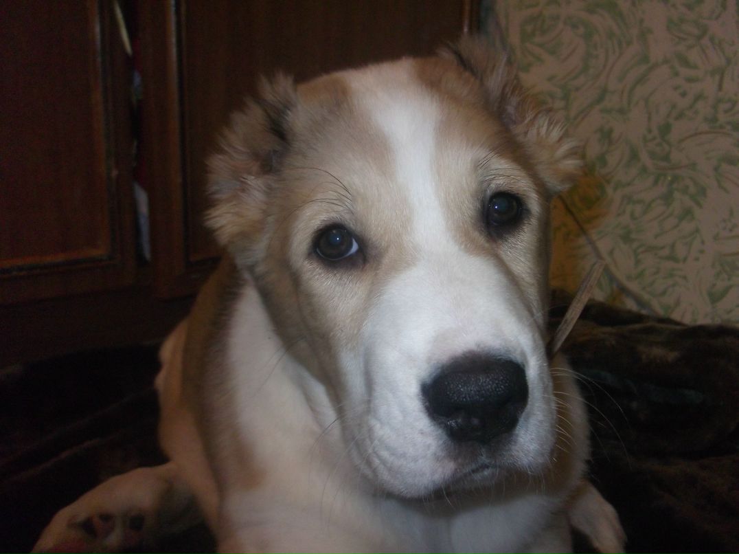 Сергей Губичев gubic | Северодвинск