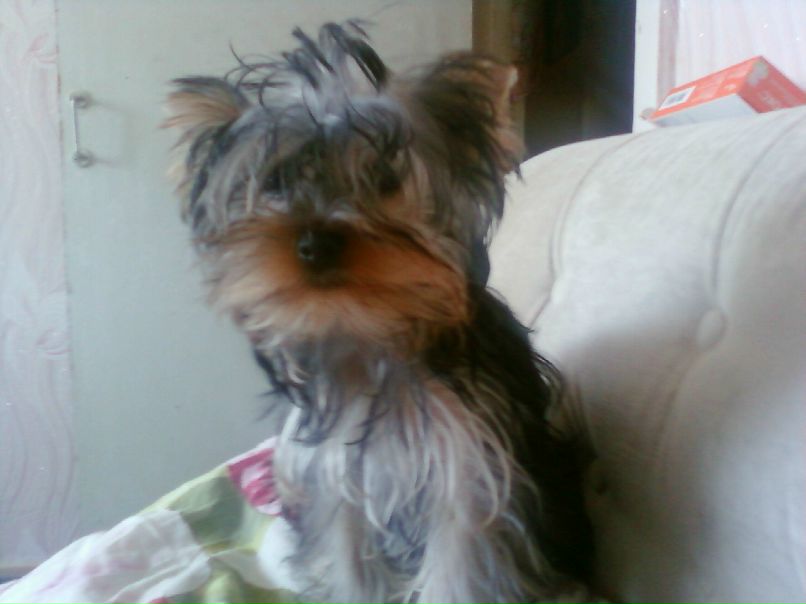 Марина Николаева | Рубежное