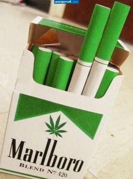 Инесса Билгич | Сумы