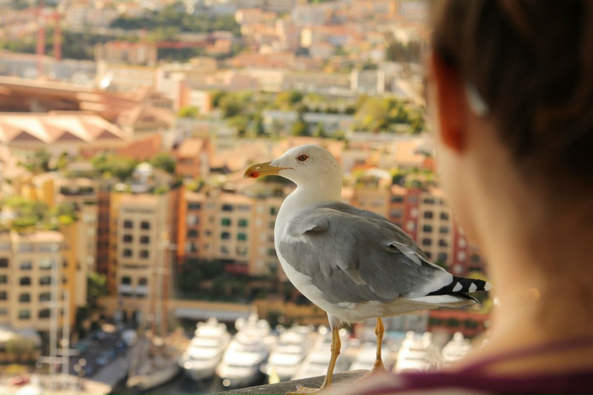 Минна Лещева | 