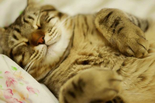 Юлиана Сизонова | Вильнюс