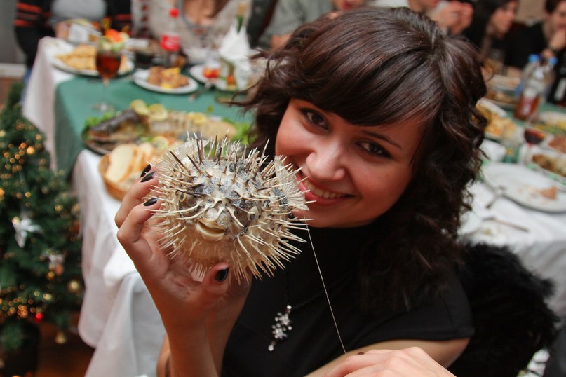 Виктория Вовк | 