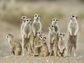 №26 Влада Кошкина 24.12.1985: профиль, фото, статус - ВКонтакте
