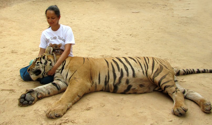 Maria Nesterova | Palermo