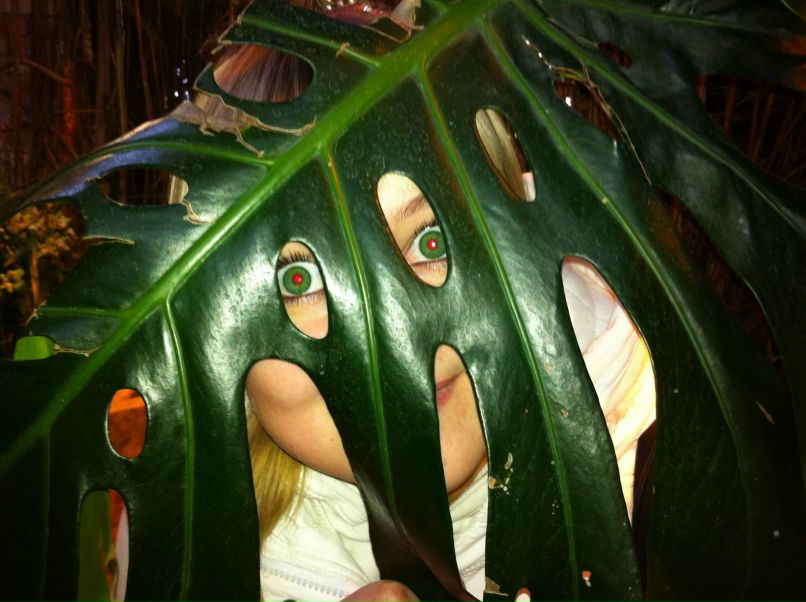 Елена Линева | 