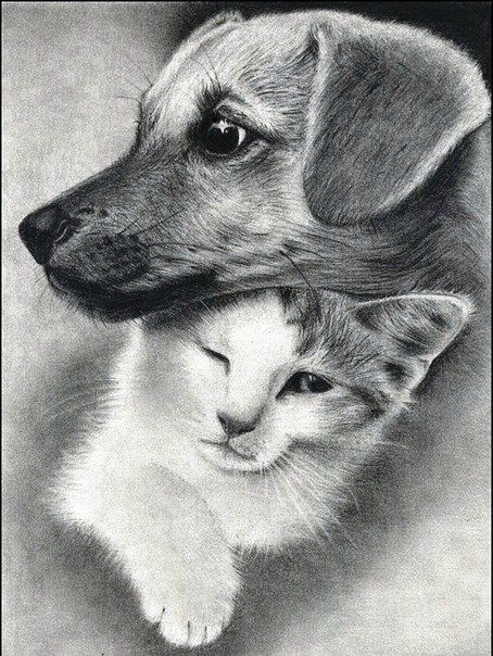 Настена Сладкая | Санкт-Петербург