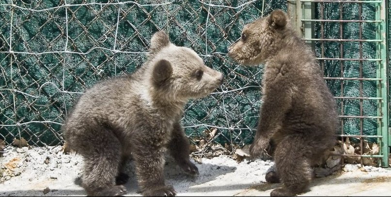 Аксана Астон | Baton Rouge