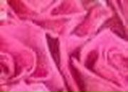 Анна Иванова | Невель