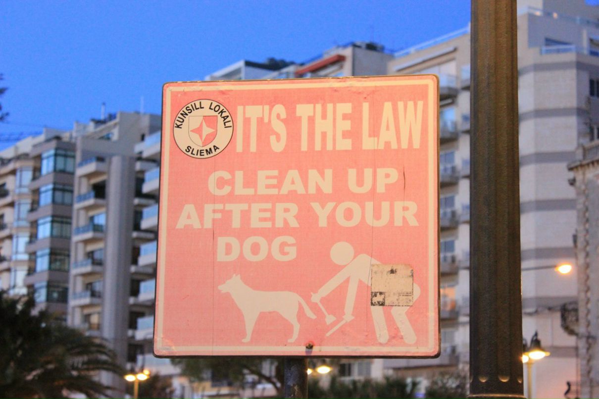 Анюта Ткачук | 