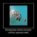 №13 Виктор Бобровский