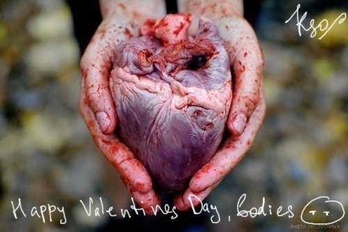 Катерина Терешко -_- kso | Киев