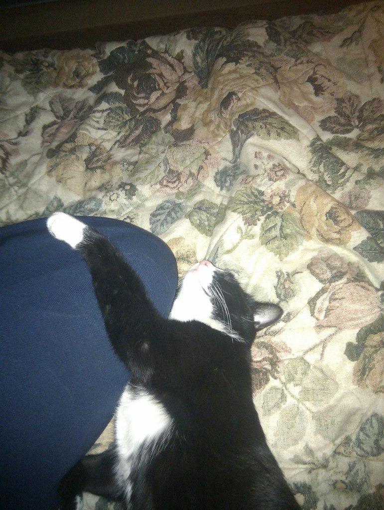 Александр Гончаров | Москва