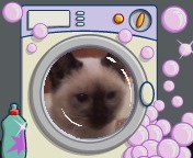 Екатерина Бондарь Игоревна | Киев