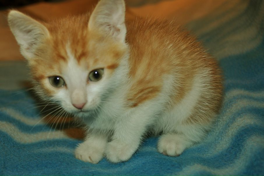 №34, Anastassia Ostova, 32 года №34, Anastassia Ostova, 32 года