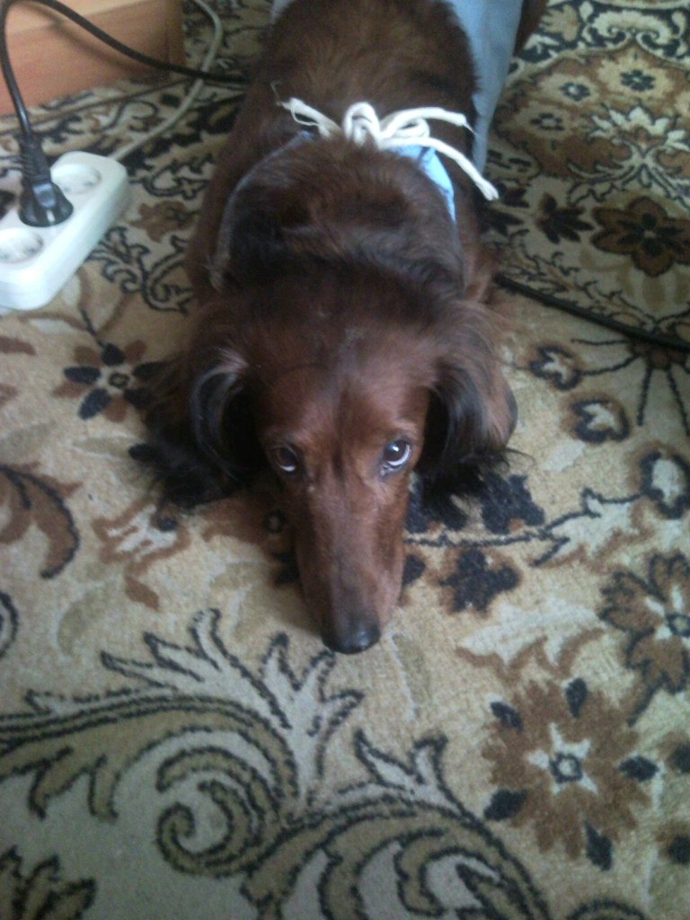 Generalova Yana ☾⋆ | Москва