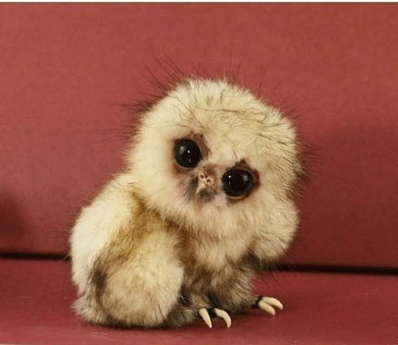 Наталья Мусаева | Санкт-Петербург