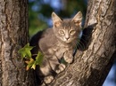 №4 Настя Бутина 12.06.1999: профиль, фото, статус - ВКонтакте