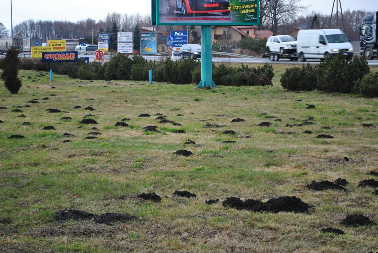 Игорь Савченко | Киев