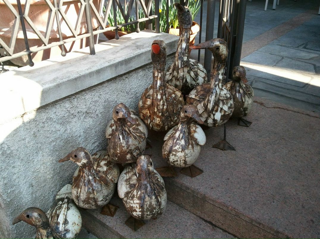 Елена Малярчук | Санкт-Петербург