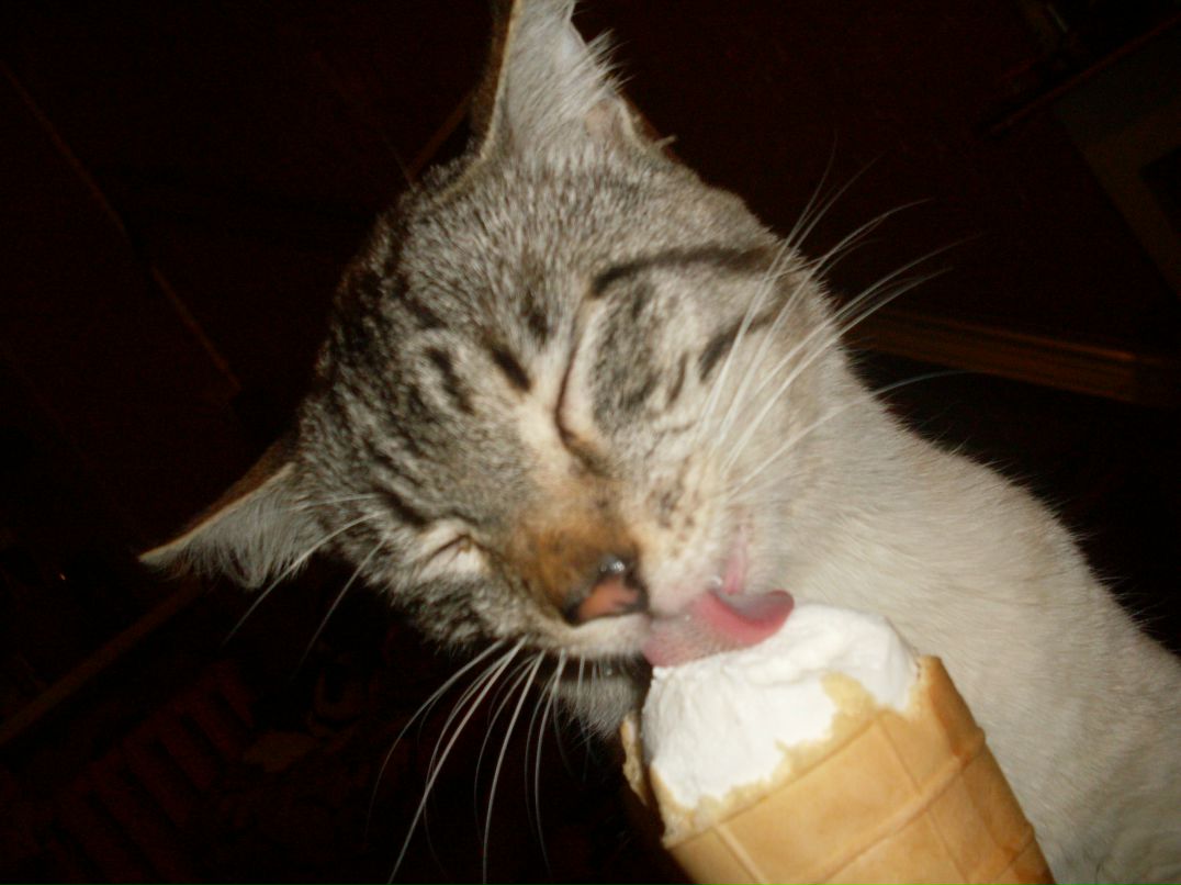 Екатерина Посельская | Коряжма