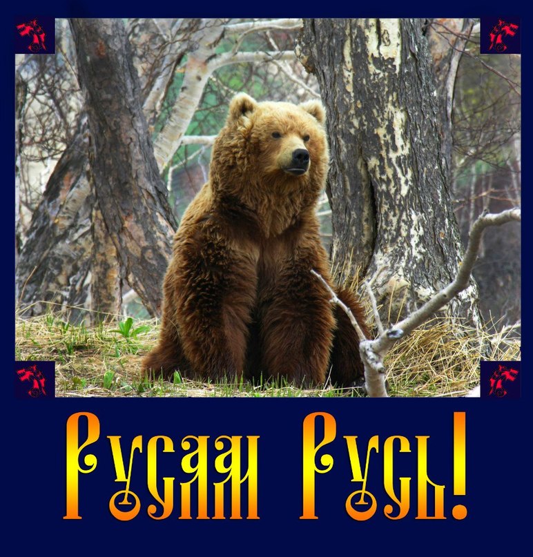 White Wolf | Москва