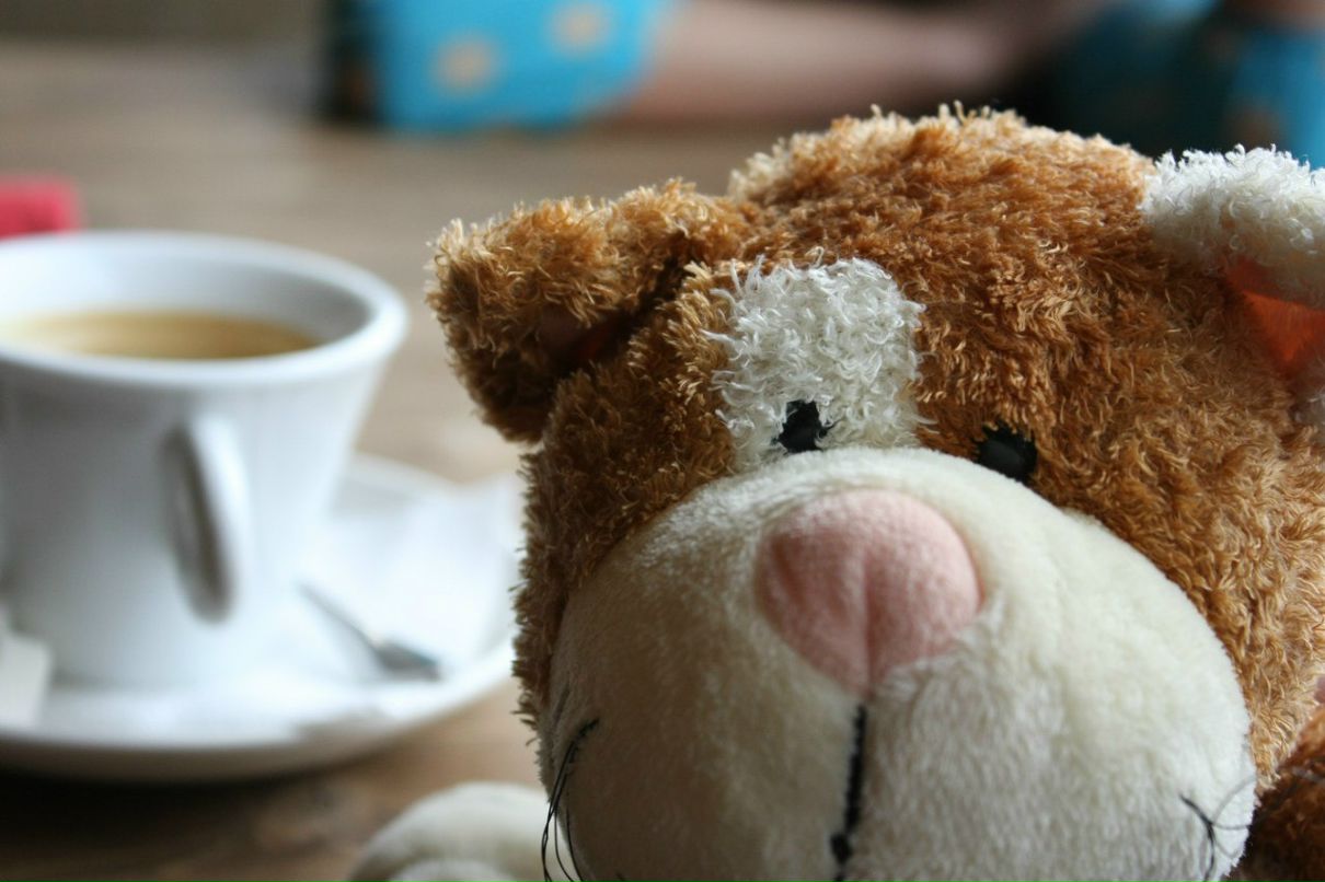 Виктория Паламарчук | Алматы