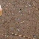 №197, Анжела Жужа, Евпатория №197, Анжела Жужа, Евпатория