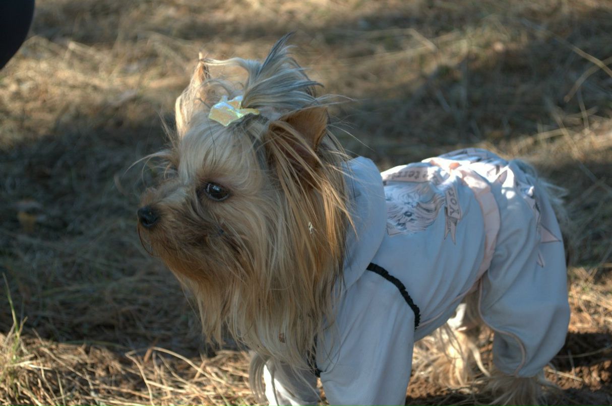 Нина Старикова | Киров