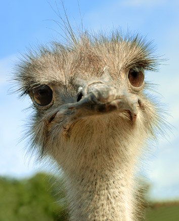 Аня Александрова | Казань