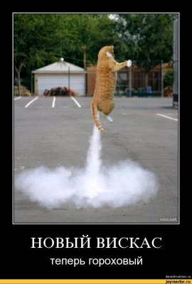 Эльдар Башмаков | Нижний Новгород