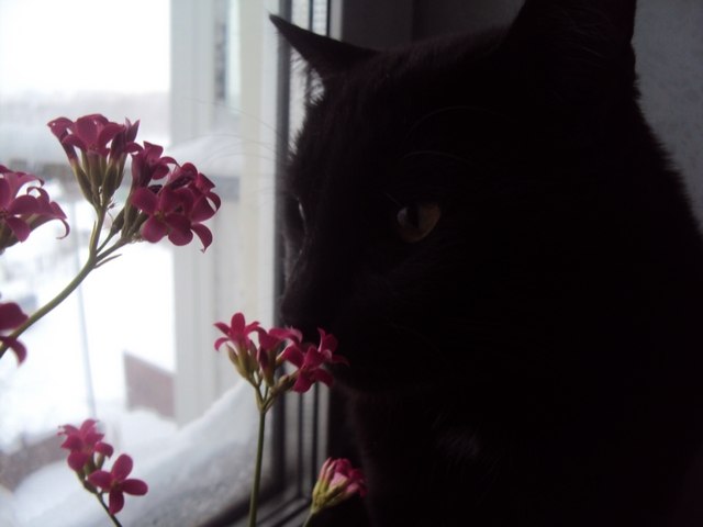 Наталья Старикова | Петропавловск-Камчатский