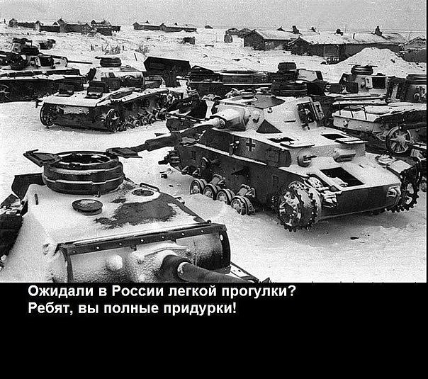 Степан Никитин | 