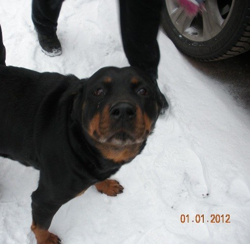 Катерина Ульянова | Санкт-Петербург