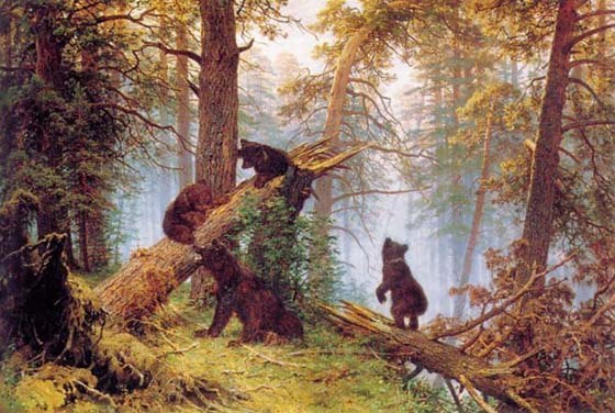 Светлана Гончарова | Санкт-Петербург