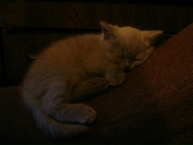 Екатерина Субботина | Санкт-Петербург