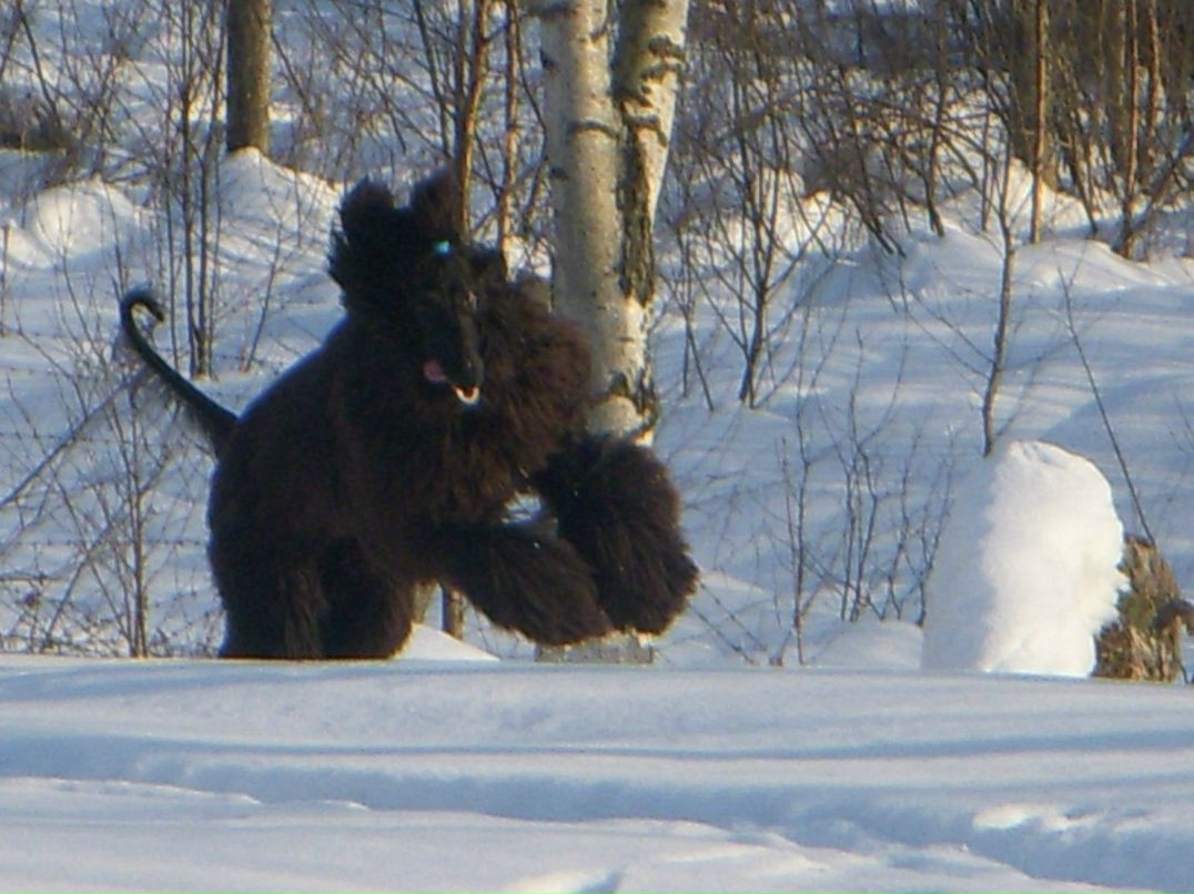 Margo Rogozhina | Санкт-Петербург