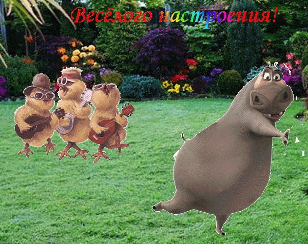 №3, Алексей Скорик, 33 года, Краснопавловка №3, Алексей Скорик, 33 года, Краснопавловка